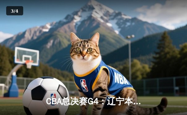 CBA总决赛G4：辽宁本钢加时险胜新疆广汇 总比分3-1夺赛点 - 3